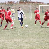 IMG 1180
